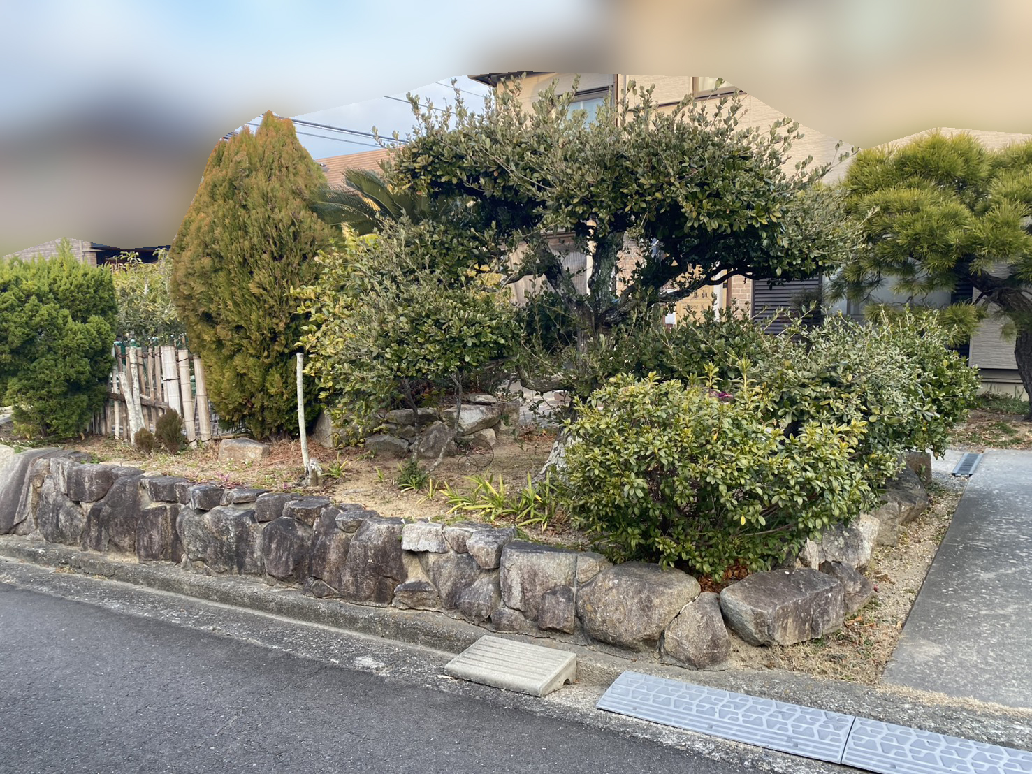 【綾川町Ｓ様邸】庭じまい工事着工⛑｜生垣・庭木・庭石を撤去し、スッキリ雑草対策仕上げにします (株)カインズガーデン