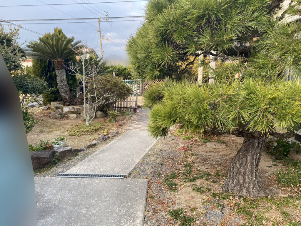 【綾川町Ｓ様邸】庭じまい工事着工⛑｜生垣・庭木・庭石を撤去し、スッキリ雑草対策仕上げにします (株)カインズガーデン