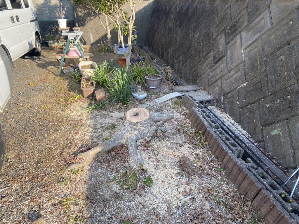 【綾川町Ｓ様邸】庭じまい工事着工⛑｜生垣・庭木・庭石を撤去し、スッキリ雑草対策仕上げにします (株)カインズガーデン