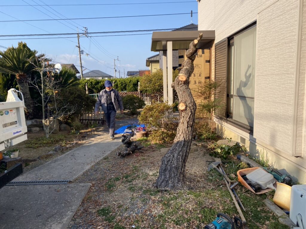 【綾川町Ｓ様邸】庭じまい工事着工⛑｜生垣・庭木・庭石を撤去し、スッキリ雑草対策仕上げにします (株)カインズガーデン