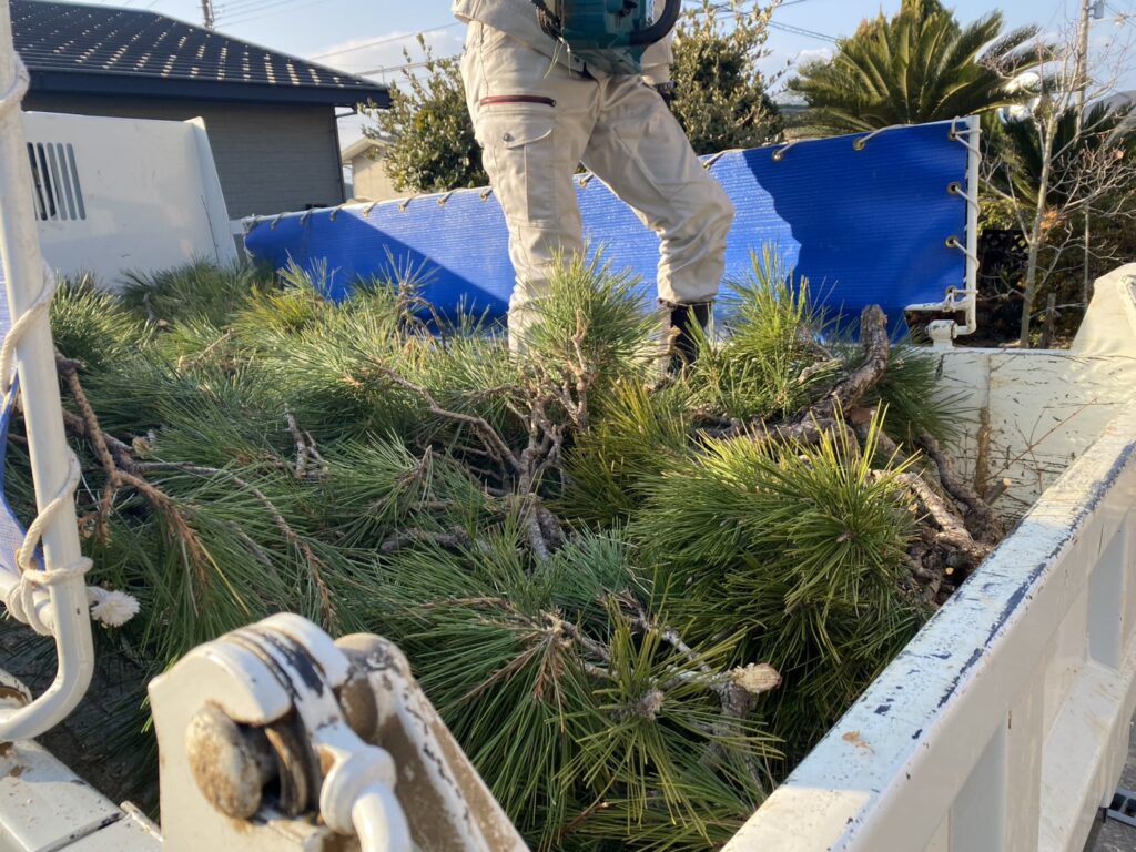 【綾川町Ｓ様邸】庭じまい工事着工⛑｜生垣・庭木・庭石を撤去し、スッキリ雑草対策仕上げにします (株)カインズガーデン