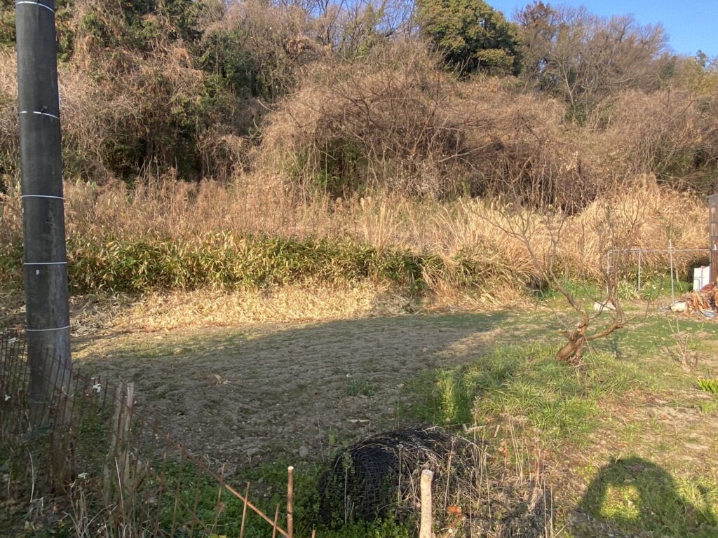 【多度津町Ｓ様所有地】雑草対策工事着工⛑｜伸びた雑草を撤去しスッキリにします (株)カインズガーデン｜香川県の庭仕舞い工事