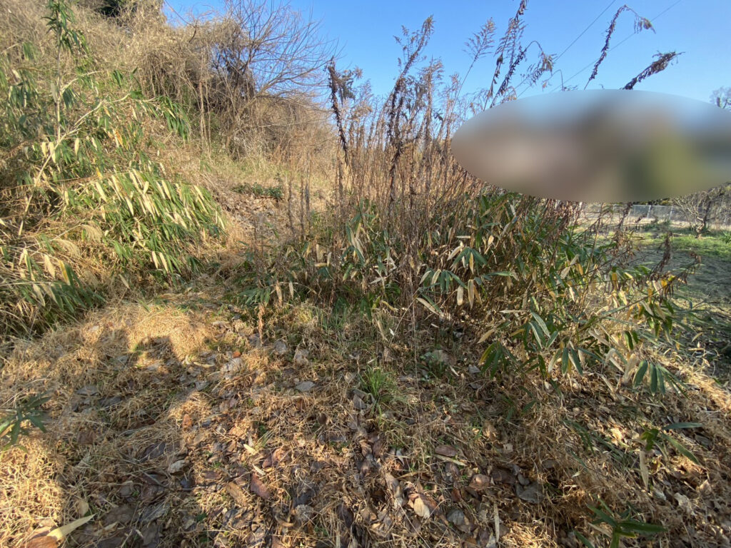 【多度津町Ｓ様所有地】雑草対策工事着工⛑｜伸びた雑草を撤去しスッキリにします (株)カインズガーデン｜香川県の庭仕舞い工事