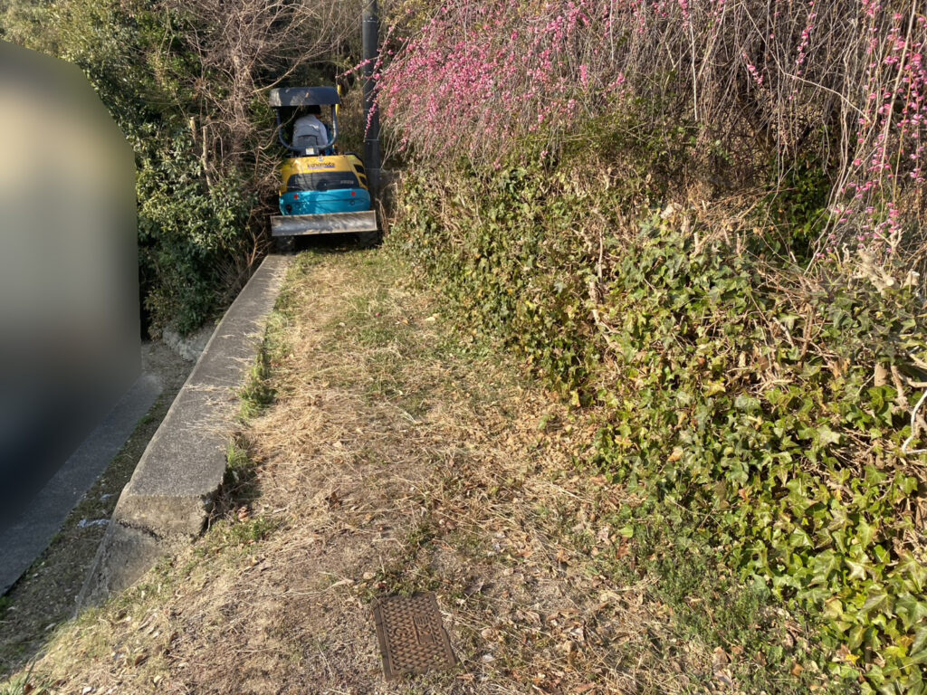 【多度津町Ｓ様所有地】雑草対策工事着工⛑｜伸びた雑草を撤去しスッキリにします (株)カインズガーデン｜香川県の庭仕舞い工事