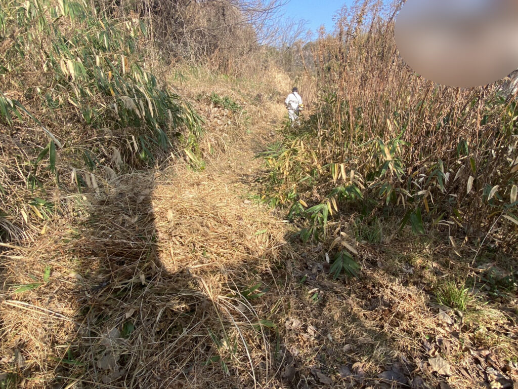 【多度津町Ｓ様所有地】雑草対策工事着工⛑｜伸びた雑草を撤去しスッキリにします (株)カインズガーデン｜香川県の庭仕舞い工事