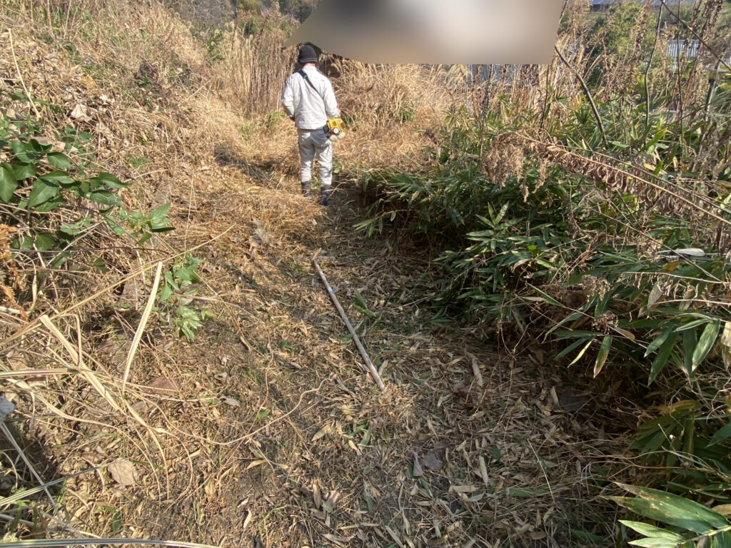 【多度津町Ｓ様所有地】雑草対策工事着工⛑｜伸びた雑草を撤去しスッキリにします (株)カインズガーデン｜香川県の庭仕舞い工事