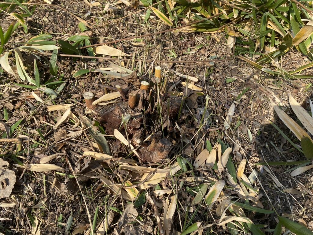 【多度津町Ｓ様所有地】雑草対策工事着工⛑｜伸びた雑草を撤去しスッキリにします (株)カインズガーデン｜香川県の庭仕舞い工事