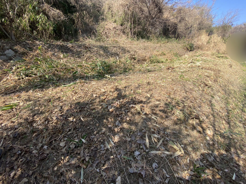 【多度津町Ｓ様所有地】雑草対策工事着工⛑｜伸びた雑草を撤去しスッキリにします (株)カインズガーデン｜香川県の庭仕舞い工事