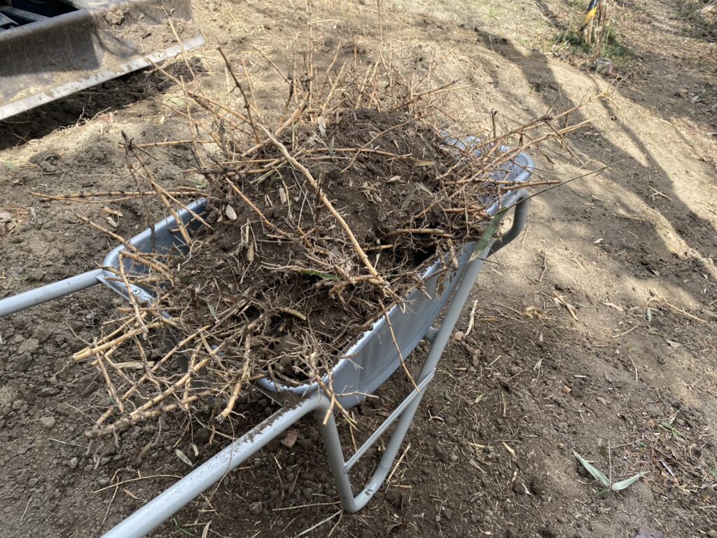 【多度津町Ｓ様所有地】雑草対策工事｜雑草撤去しスッキリ✨一面に張り放題の笹の根っこも撤去します (株)カインズガーデン