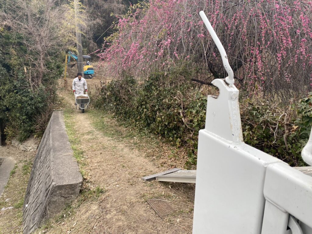 【多度津町Ｓ様所有地】雑草対策工事｜雑草撤去しスッキリ✨一面に張り放題の笹の根っこも撤去します (株)カインズガーデン