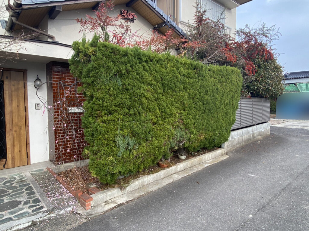 【高松市Ｋ様邸】庭じまい工事着工⛑｜生垣のカイヅカや花壇・庭木植栽撤去＆サイクルポート移設します (株)カインズガーデン
