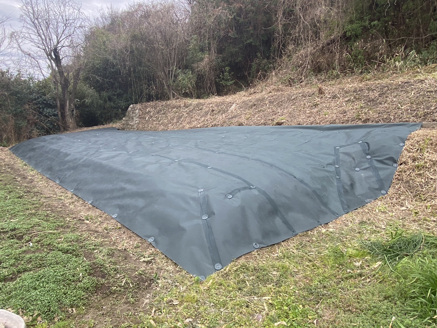 【多度津町Ｓ様所有地】雑草対策工事㊗完工｜雑草や根撤去→整地→除草剤→防草シートでスッキリ完了！ (株)カインズガーデン