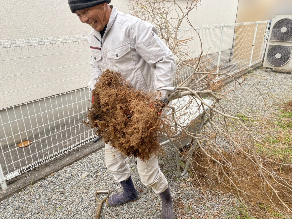【高松市Ａ様邸】雑草対策工事着工⛑｜雑草や低木・木製フェンスも撤去し、景観スッキリに仕上げます (株)カインズガーデン
