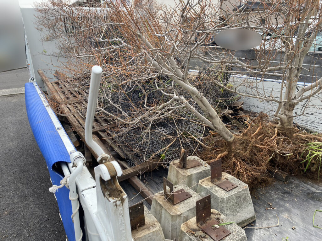 【高松市Ａ様邸】雑草対策工事着工⛑｜雑草や低木・木製フェンスも撤去し、景観スッキリに仕上げます (株)カインズガーデン