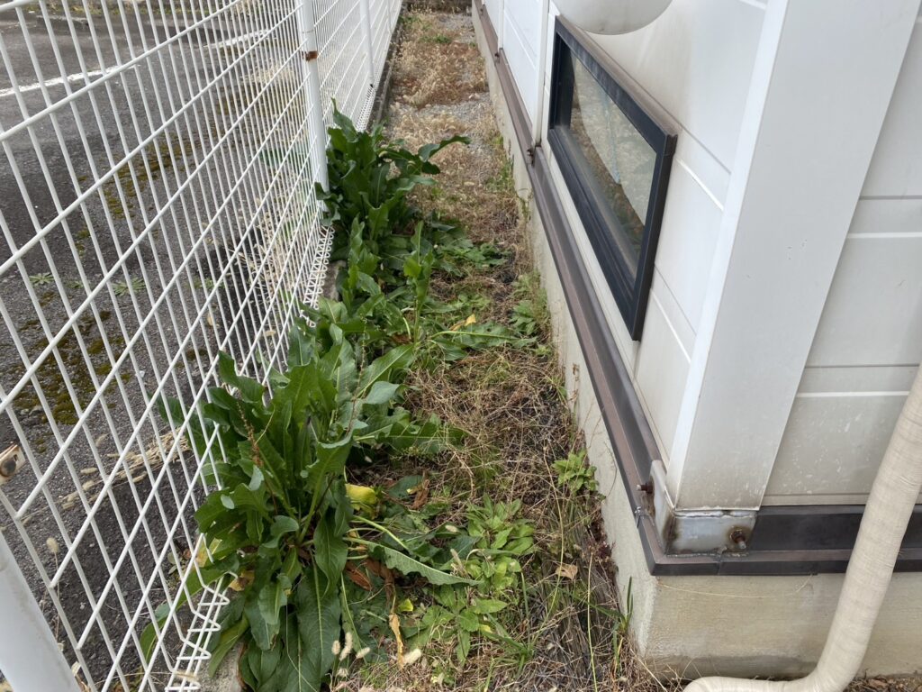 【高松市Ａ様邸】雑草対策工事着工⛑｜雑草や低木・木製フェンスも撤去し、景観スッキリに仕上げます (株)カインズガーデン