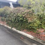 【三豊市Ｉ様邸】フェンス工事着工⛑｜レンガ壁に絡んだ植栽・既存ラティスの撤去から開始します (株)カインズガーデン｜香川県の庭仕舞い工事