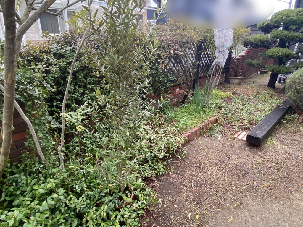 【三豊市Ｉ様邸】フェンス工事着工⛑｜レンガ壁に絡んだ植栽・既存ラティスの撤去から開始します (株)カインズガーデン｜香川県の庭仕舞い工事