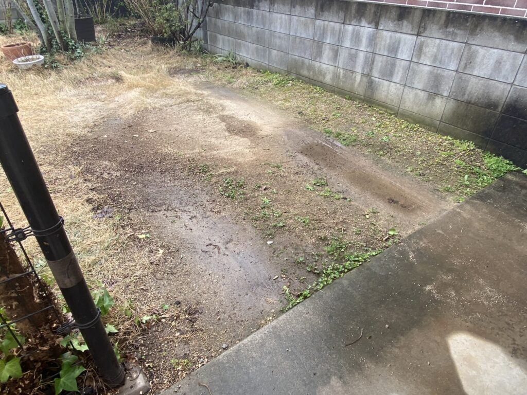 【三豊市Ｉ様邸】フェンス工事着工⛑｜レンガ壁に絡んだ植栽・既存ラティスの撤去から開始します (株)カインズガーデン｜香川県の庭仕舞い工事