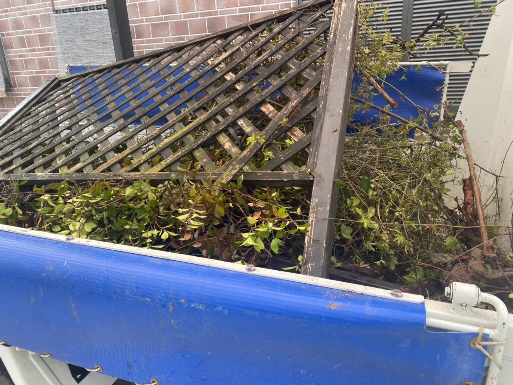 【三豊市Ｉ様邸】フェンス工事着工⛑｜レンガ壁に絡んだ植栽・既存ラティスの撤去から開始します (株)カインズガーデン｜香川県の庭仕舞い工事