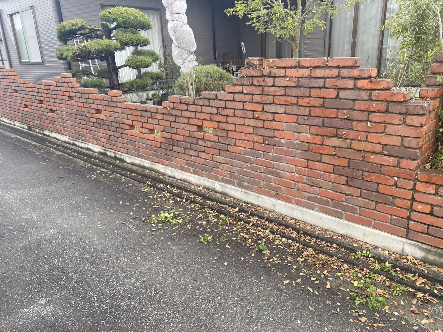 【三豊市Ｉ様邸】フェンス工事着工⛑｜レンガ壁に絡んだ植栽・既存ラティスの撤去から開始します (株)カインズガーデン｜香川県の庭仕舞い工事