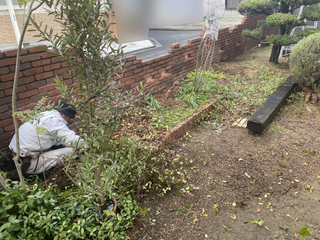 【三豊市Ｉ様邸】フェンス工事着工⛑｜レンガ壁に絡んだ植栽・既存ラティスの撤去から開始します (株)カインズガーデン｜香川県の庭仕舞い工事