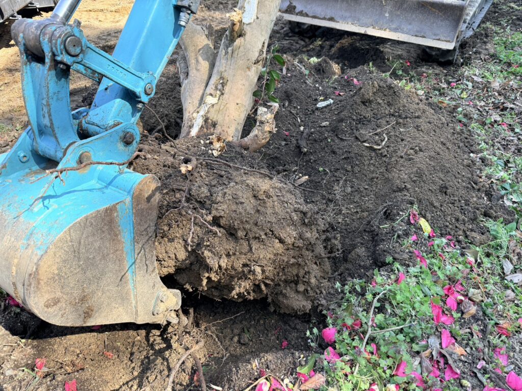 【三豊市Ｏ様邸】庭仕舞い＆ドッグラン工事｜生垣や庭木庭石撤去完了しスッキリ✨ブロックベースも打設 (株)カインズガーデン