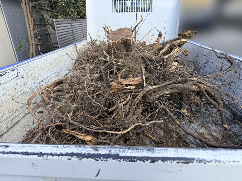 【高松市Ｋ様邸】庭仕舞い工事｜生垣や庭木の伐根・花壇や玄関アプローチをスッキリ撤去します！ (株)カインズガーデン