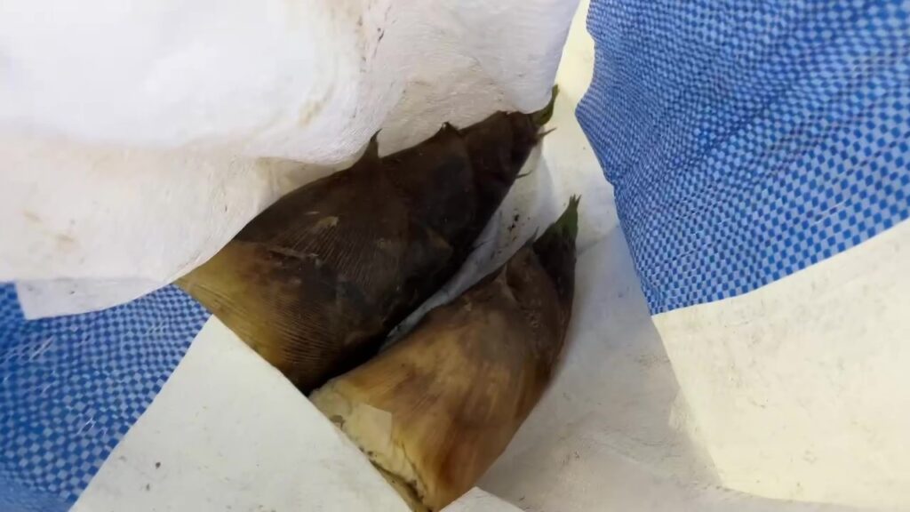 【三豊市Ｏ様邸】庭仕舞い＆ドッグラン工事｜囲いフェンスの柱建てが完了し、フェンス本体の設置開始 (株)カインズガーデン