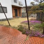 【高松市ＫＵ様邸】雑草対策＆庭仕舞い工事着工⛑｜庭木植栽・天然芝花壇撤去、波板やドアパネルも交換 (株)カインズガーデン