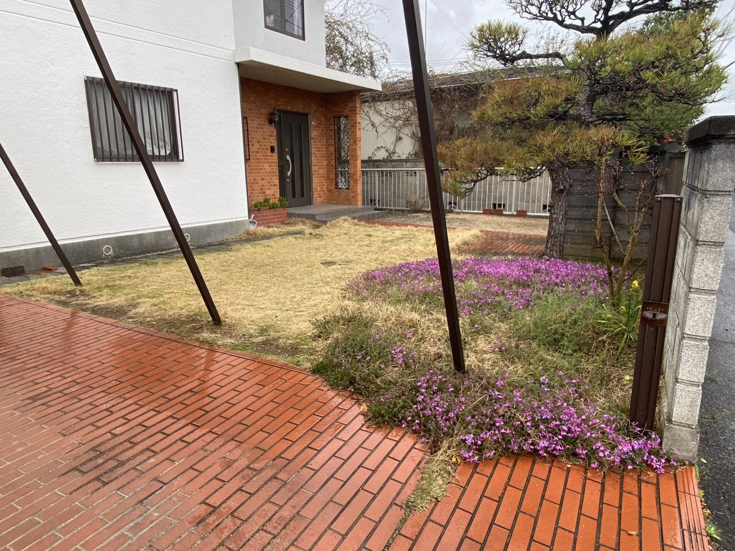 【高松市ＫＵ様邸】雑草対策＆庭仕舞い工事着工⛑｜庭木植栽・天然芝花壇撤去、波板やドアパネルも交換 (株)カインズガーデン