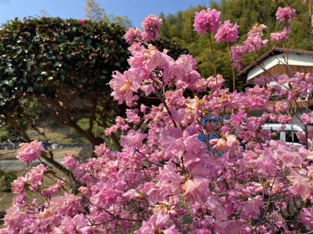 【三豊市Ｏ様邸】庭仕舞い＆ドッグラン工事｜境界ブロック５段積み開始，フェンス柱の独立基礎も埋めます