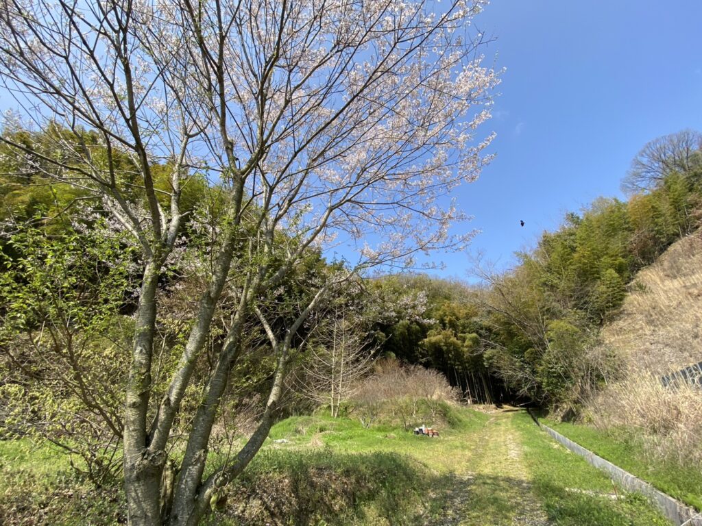 【三豊市Ｏ様邸】庭仕舞い＆ドッグラン工事｜境界ブロック５段積み開始，フェンス柱の独立基礎も埋めます