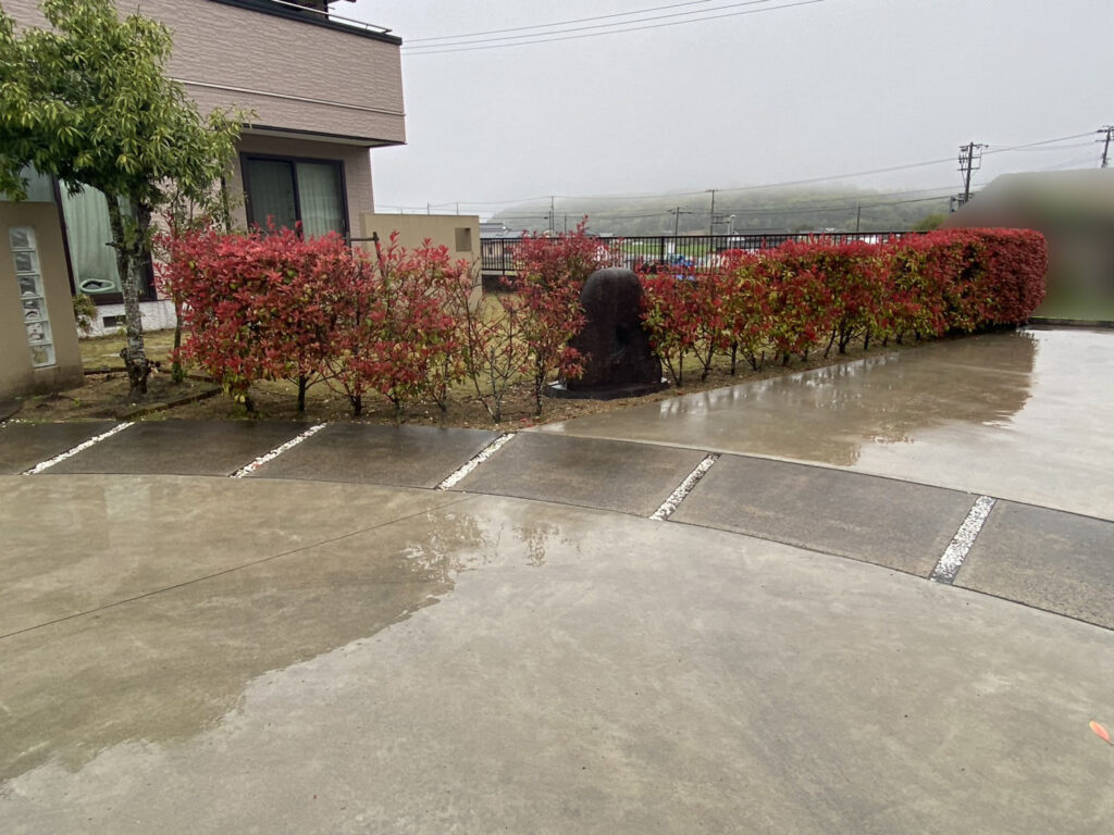 【まんのう町Ｓ様邸】垣根撤去＆目隠しフェンス設置工事着工⛑｜レッドロビンの垣根撤去と庭石移設完了 (株)カインズガーデン