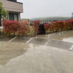 【まんのう町Ｓ様邸】垣根撤去＆目隠しフェンス設置工事着工⛑｜レッドロビンの垣根撤去と庭石移設完了 (株)カインズガーデン