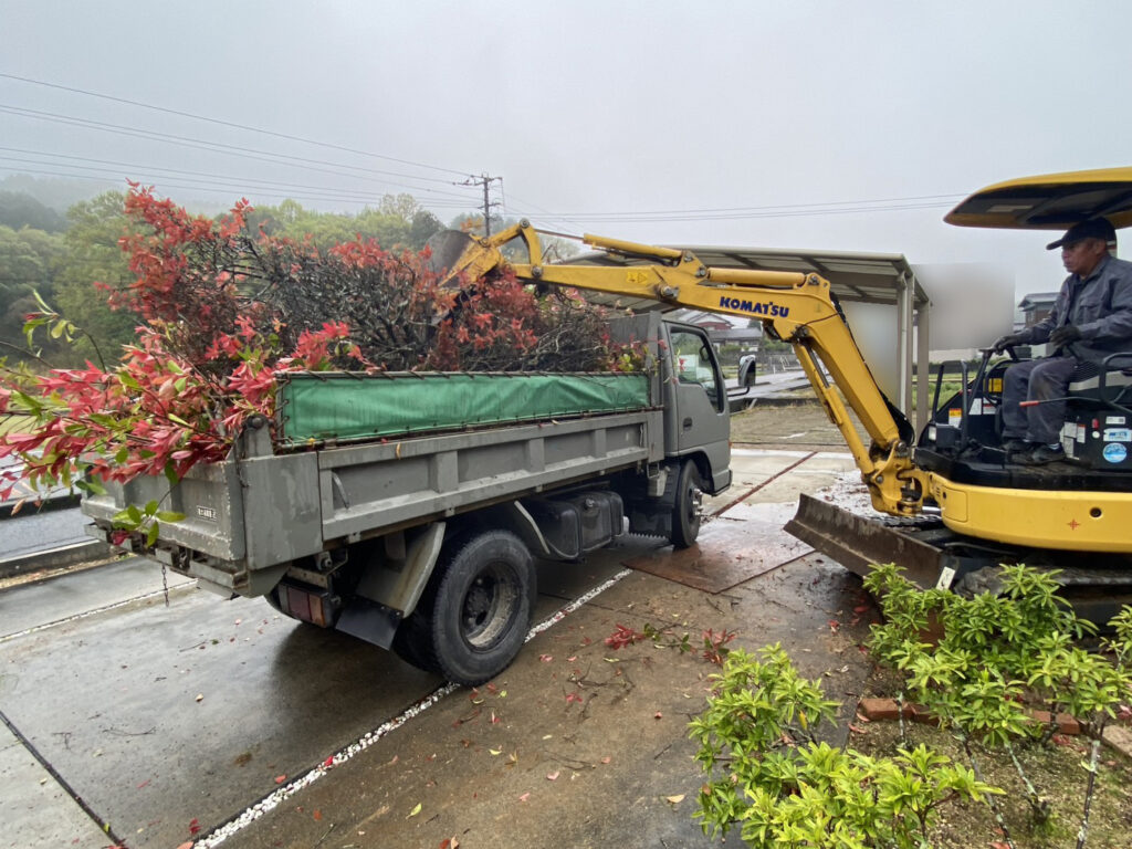 【まんのう町Ｓ様邸】垣根撤去＆目隠しフェンス設置工事着工⛑｜レッドロビンの垣根撤去と庭石移設完了 (株)カインズガーデン