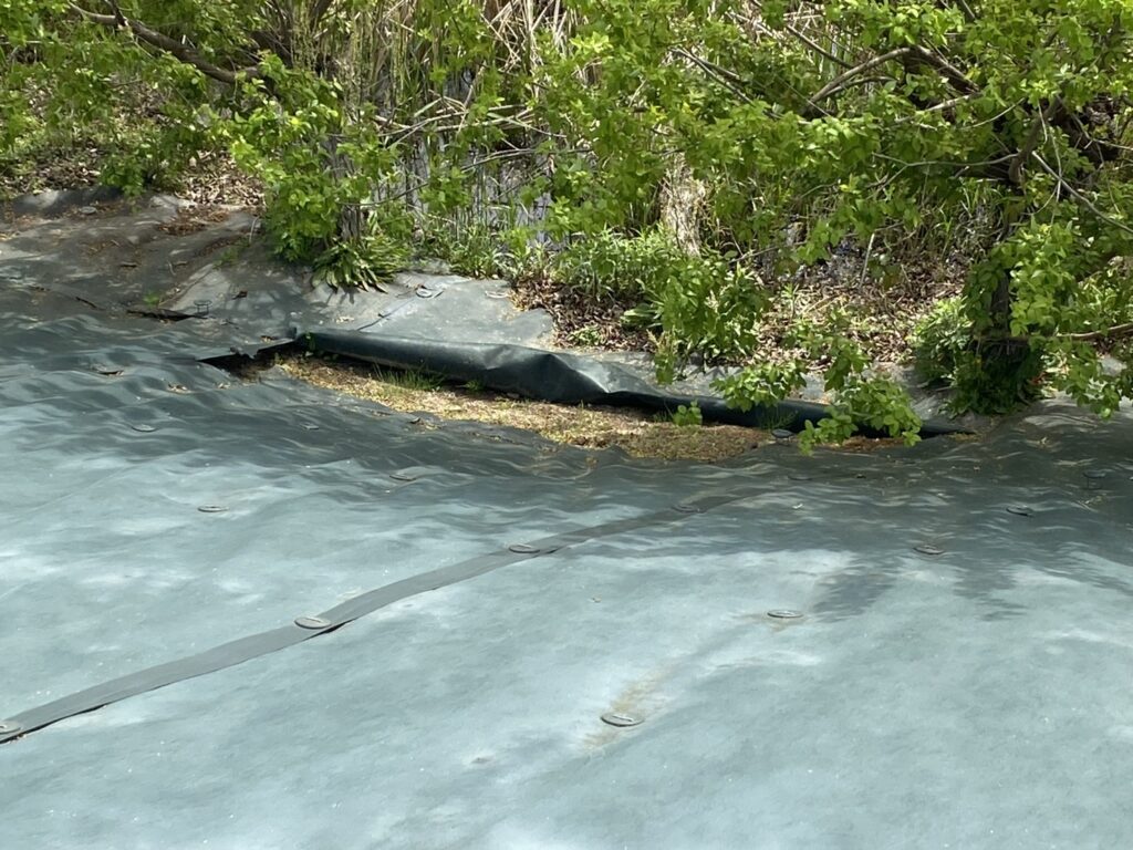 【綾川町Ｔ様邸】雑草対策工事｜田んぼ法面の防草シート（テープ劣化やイノシシが遊んだあと）修繕 (株)カインズガーデン