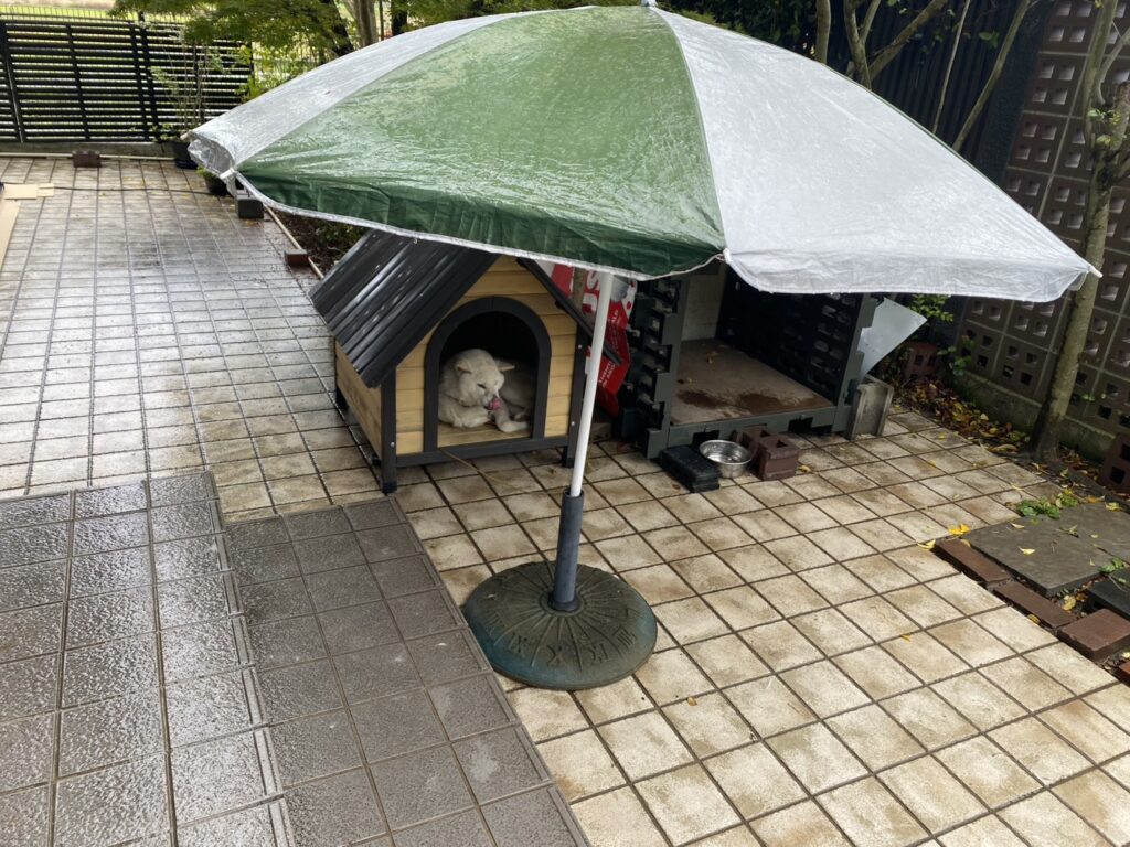 【三豊市Ａ様邸】サンルーム設置工事㊗完工｜風通し最高～✨プライバシー保護◎ 快適洗濯干し場完成 (株)カインズガーデン