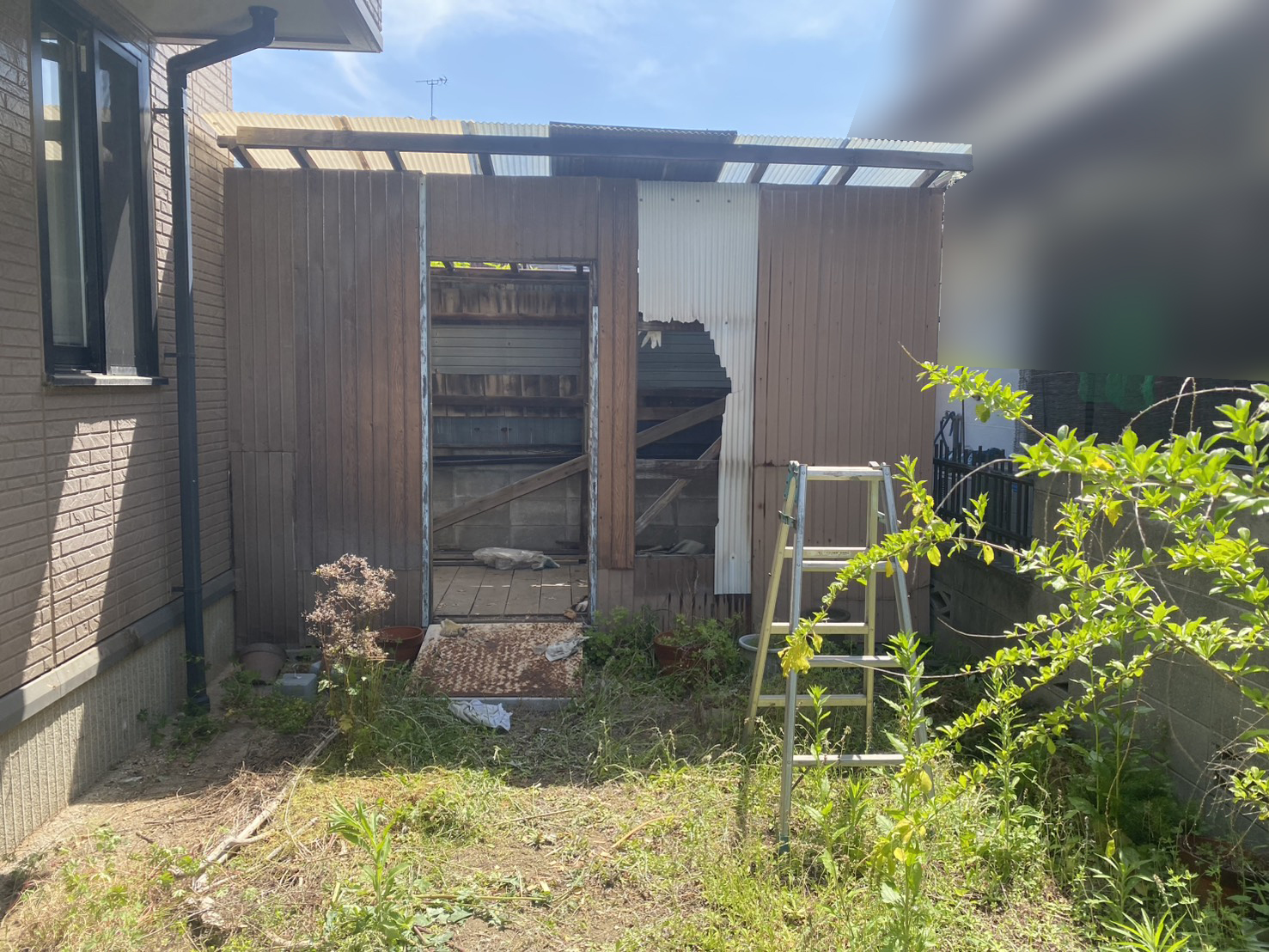 【坂出市Ｏ様邸】庭仕舞い工事着工⛑｜既存の手づくり納屋やテラス屋根撤去，水仙植え替えからスタート (株)カインズガーデン