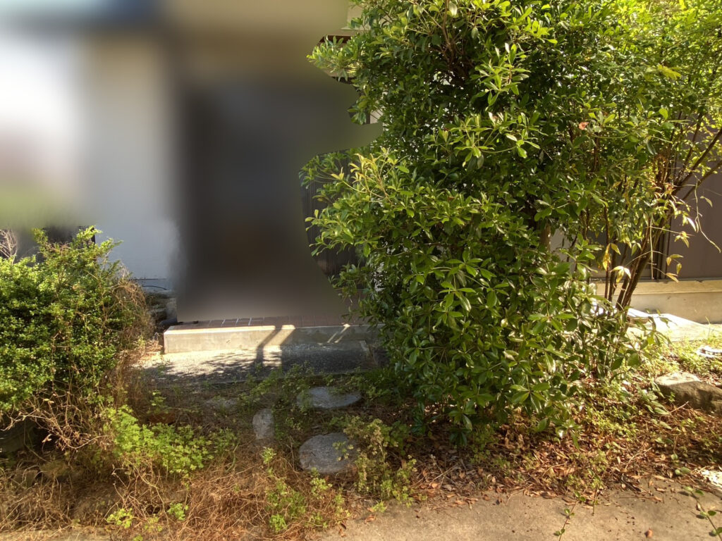【綾川町Ｋ様邸】雑草対策＆庭仕舞い工事着工⛑｜門扉や玄関周りの庭木植栽撤去，お家周りの雑草撤去 (株)カインズガーデン