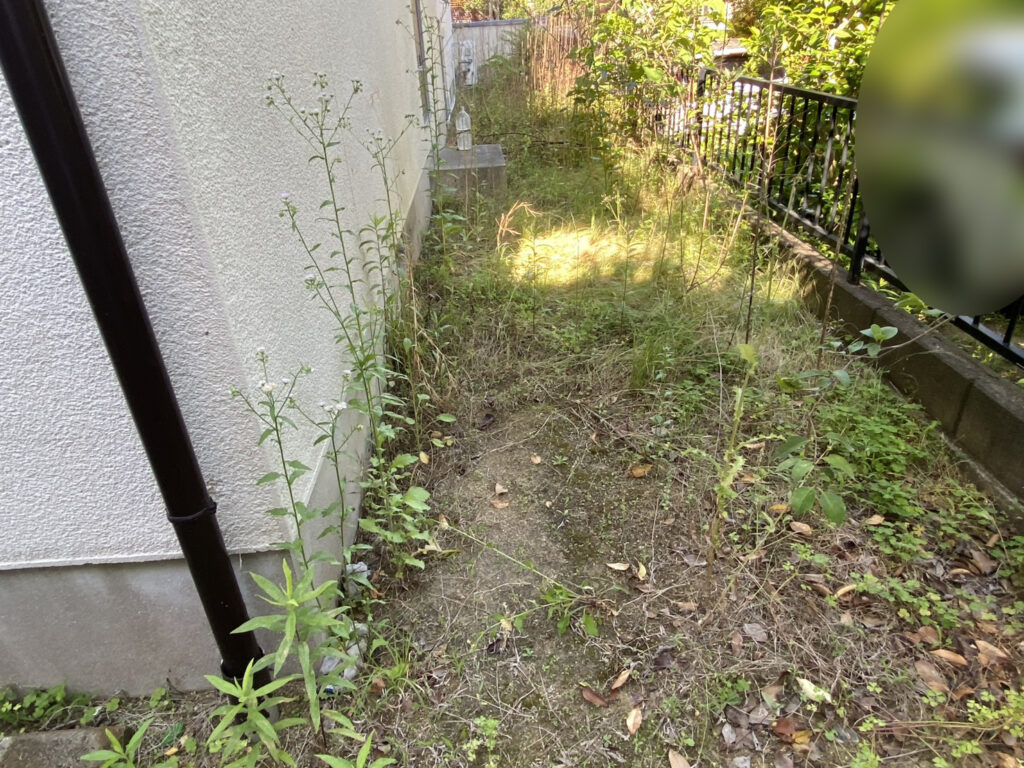 【綾川町Ｋ様邸】雑草対策＆庭仕舞い工事着工⛑｜門扉や玄関周りの庭木植栽撤去，お家周りの雑草撤去 (株)カインズガーデン