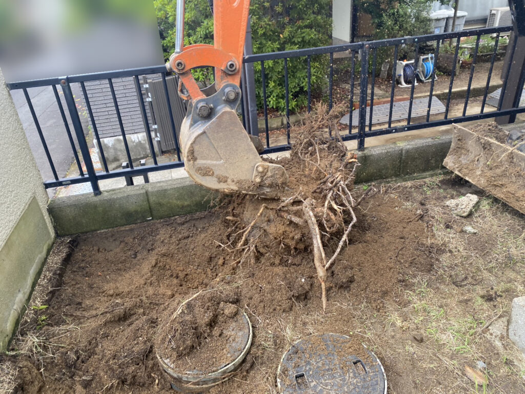 【綾川町Ｋ様邸】雑草対策＆庭仕舞い工事｜鋤取りをしながら、次々出てくる大きな根株も撤去します (株)カインズガーデン