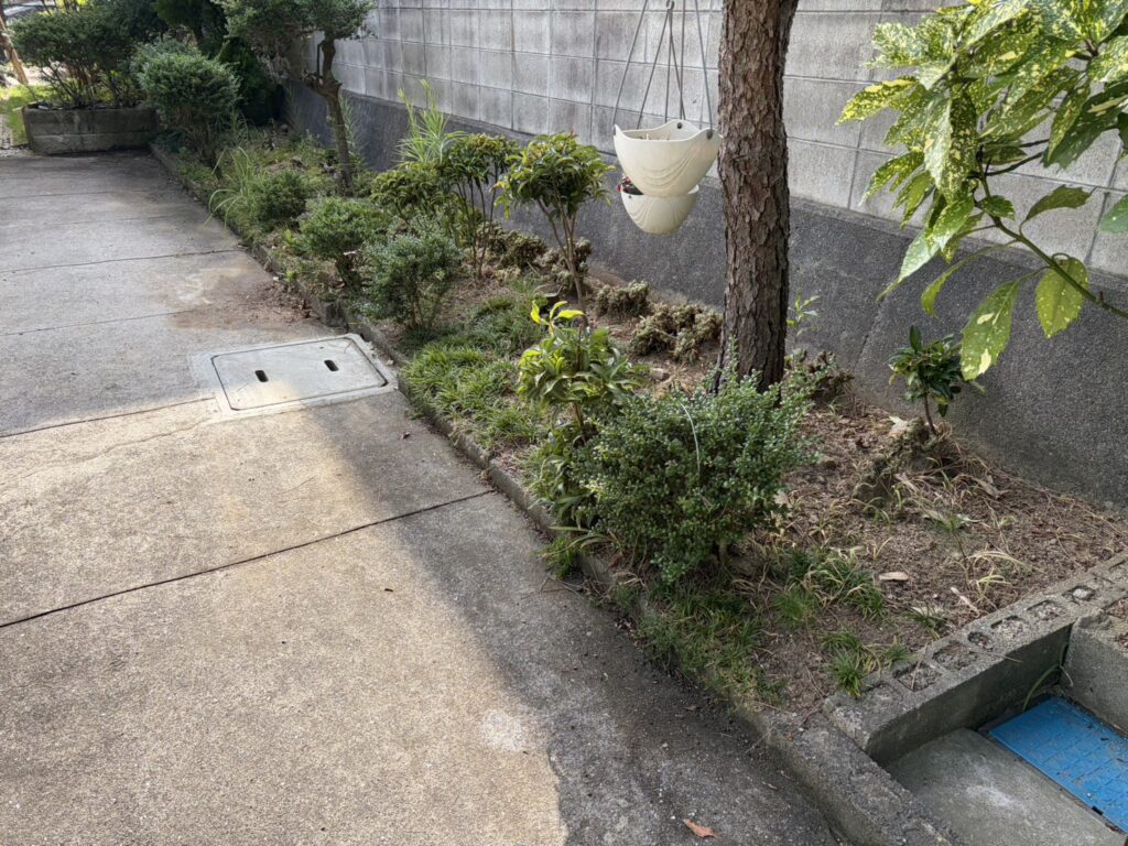 【丸亀市ＴＡ様邸】庭仕舞い工事着工⛑｜石造りの門柱・花壇や庭木植栽・天然芝撤去し広々駐車場へ✨ (株)カインズガーデン