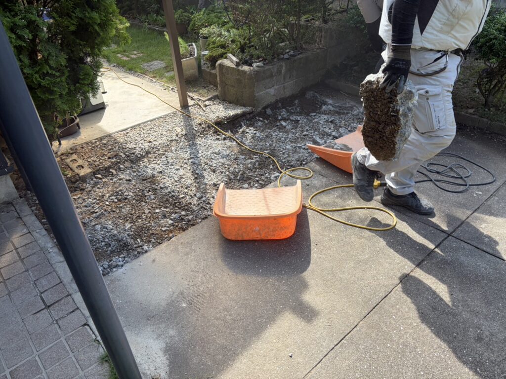 【丸亀市ＴＡ様邸】庭仕舞い工事着工⛑｜石造りの門柱・花壇や庭木植栽・天然芝撤去し広々駐車場へ✨ (株)カインズガーデン