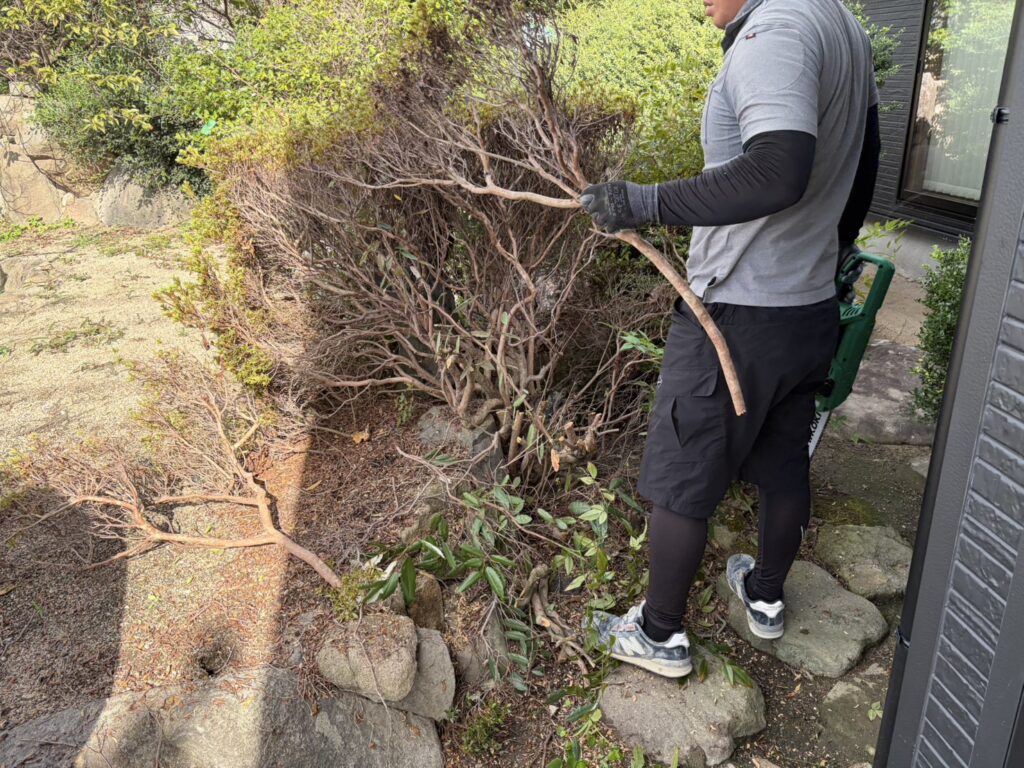 【高松市Ｈ様邸】庭仕舞い工事着工⛑｜生垣や庭木撤去し、駐車場・目隠しフェンスや雑草対策をします (株)カインズガーデン