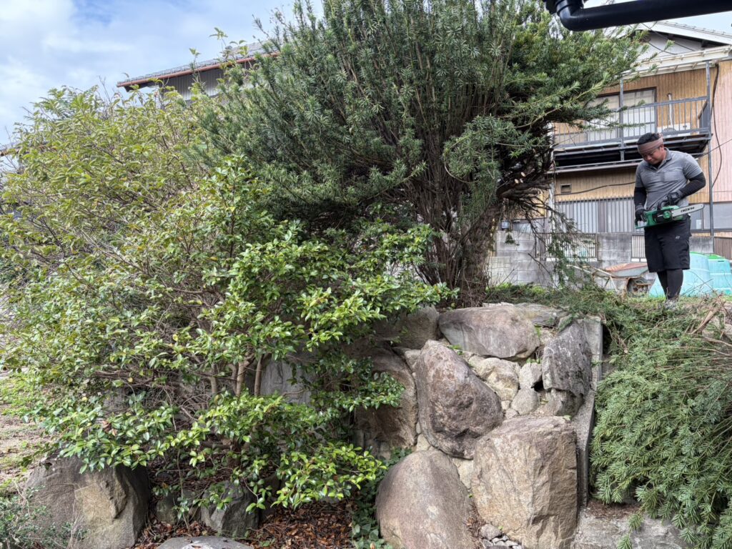 【高松市Ｈ様邸】庭仕舞い工事着工⛑｜生垣や庭木撤去し、駐車場・目隠しフェンスや雑草対策をします (株)カインズガーデン