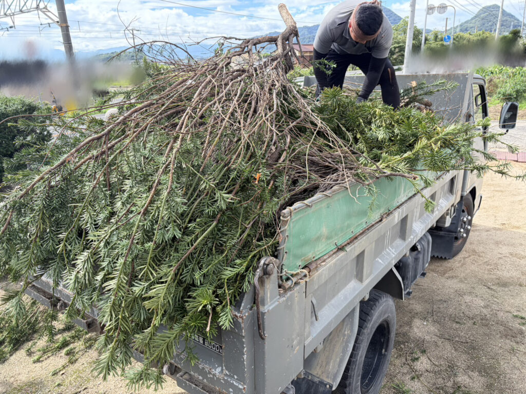 【高松市Ｈ様邸】庭仕舞い工事着工⛑｜生垣や庭木撤去し、駐車場・目隠しフェンスや雑草対策をします (株)カインズガーデン