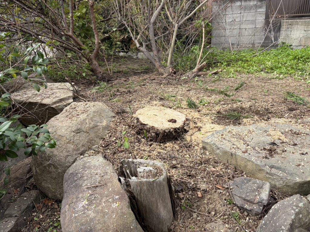 【高松市Ｈ様邸】庭仕舞い工事着工⛑｜生垣や庭木撤去し、駐車場・目隠しフェンスや雑草対策をします (株)カインズガーデン