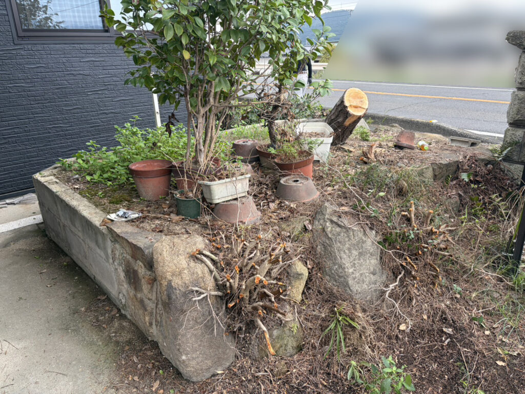 【高松市Ｈ様邸】庭仕舞い工事｜石垣上や道路沿いの生垣撤去完了！立派な門かぶり松も伐採完了 (株)カインズガーデン