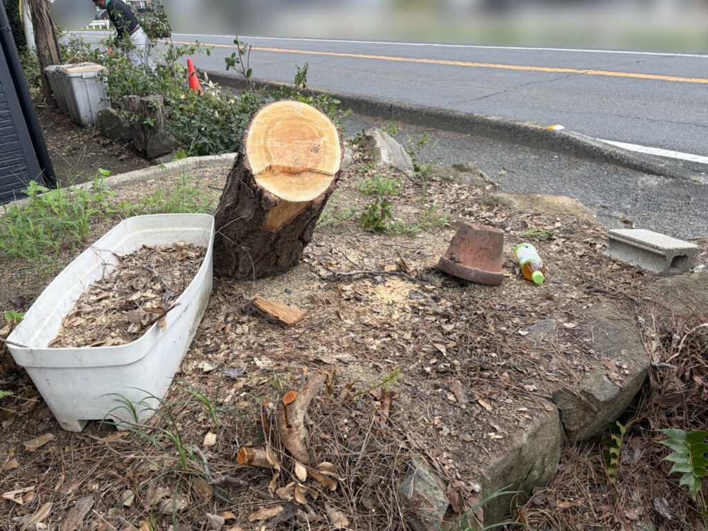 【高松市Ｈ様邸】庭仕舞い工事｜石垣上や道路沿いの生垣撤去完了！立派な門かぶり松も伐採完了 (株)カインズガーデン
