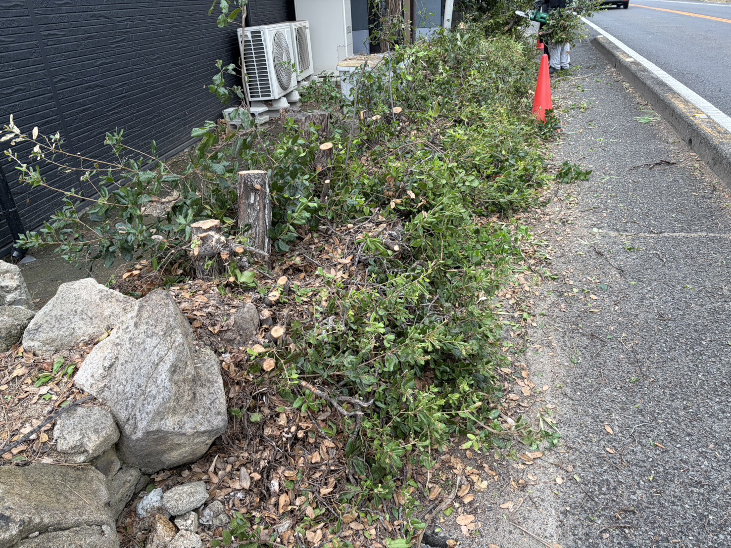 【高松市Ｈ様邸】庭仕舞い工事｜石垣上や道路沿いの生垣撤去完了！立派な門かぶり松も伐採完了 (株)カインズガーデン